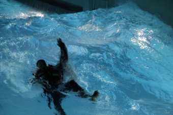 ISAF Sicherheitslehrgang